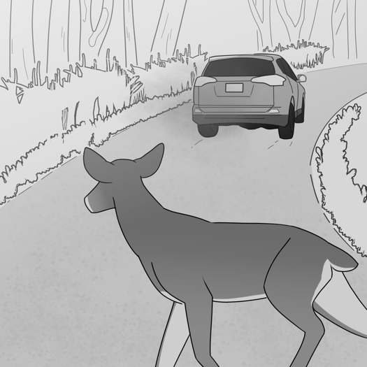 Image: The car driving away, still surrounded by woodlands. In the foreground, a doe walks out onto the road. End description.